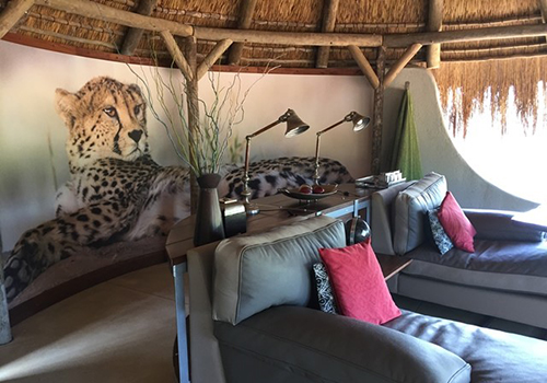 Accommodation